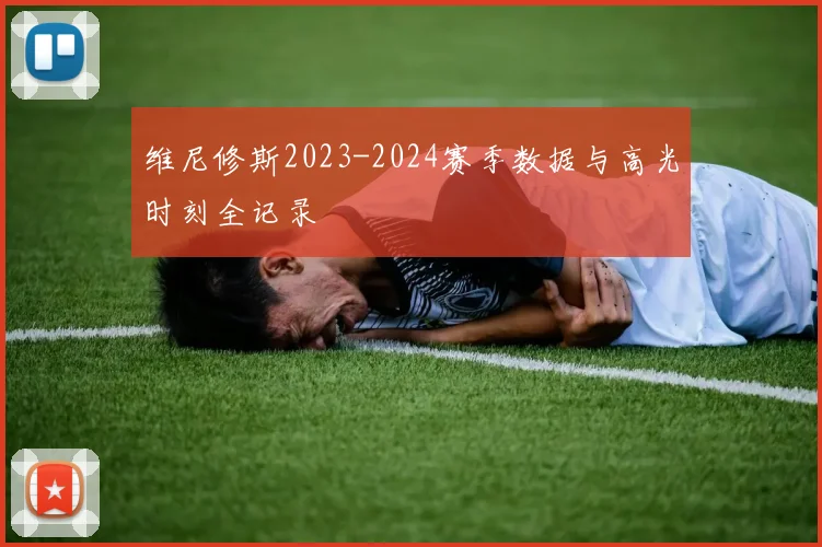 维尼修斯2023-2024赛季数据与高光时刻全记录