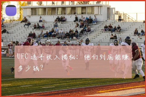 UFC 选手收入揭秘：他们到底能赚多少钱？