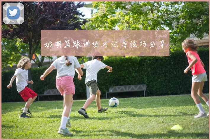 姚明篮球训练方法与技巧分享